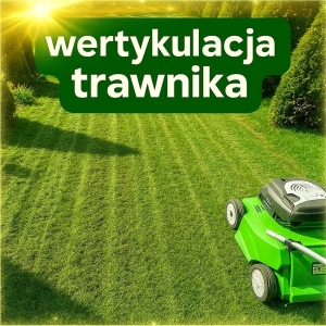 Wertykulacja trawnika Sierpc i okolice 50km – profesjonalny sprzęt do wynajmu, pielęgnacja i regeneracja      trawy